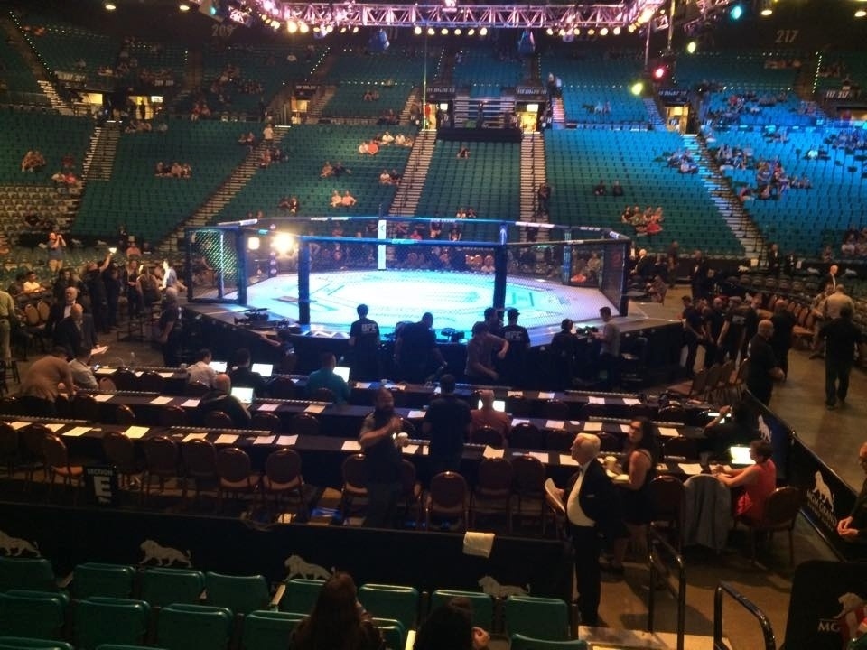 Público começa a ocupar a MGM Arena para o UFC 187, que será realizado na noite deste sábado (23) - Jorge Corrêa/UOL