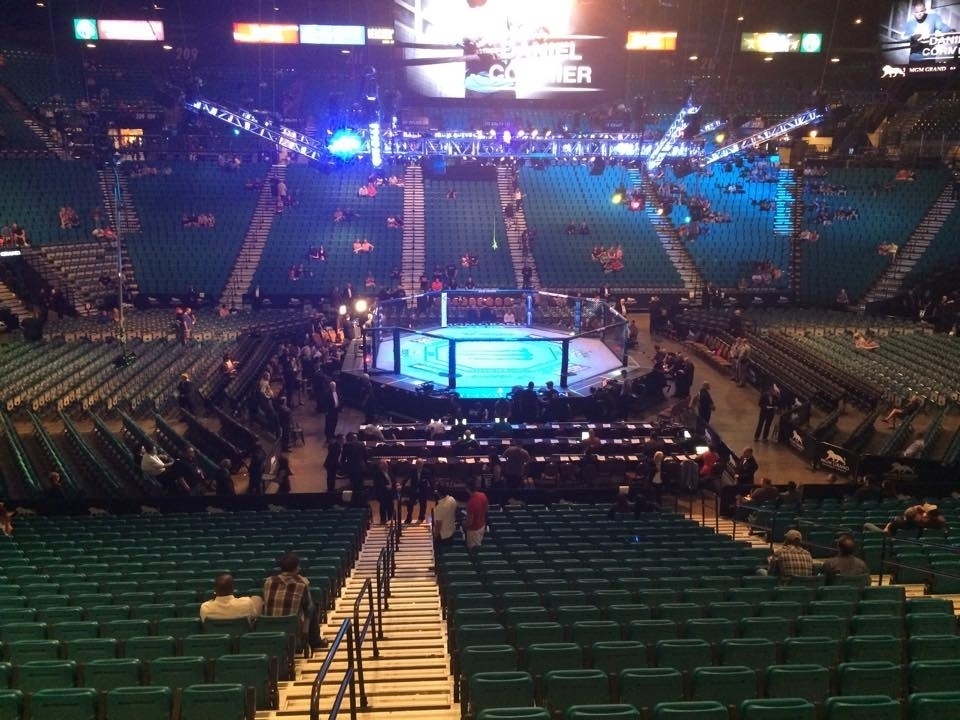 Público começa a ocupar a MGM Arena para o UFC 187, que será realizado neste sábado (23) - Jorge Corrêa/UOL