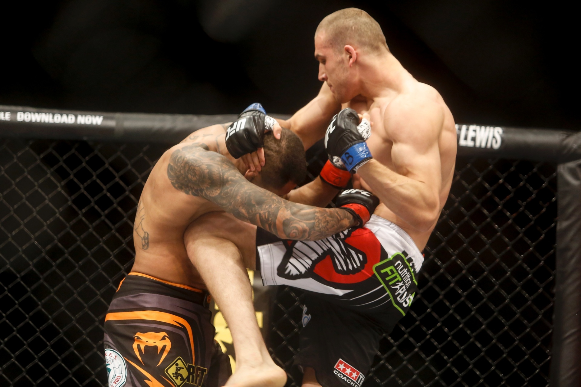 Tom Breese acerta uma joelhada em Luiz Besouro, na primeira luta do UFC Goiânia - William Lucas/Inovafoto