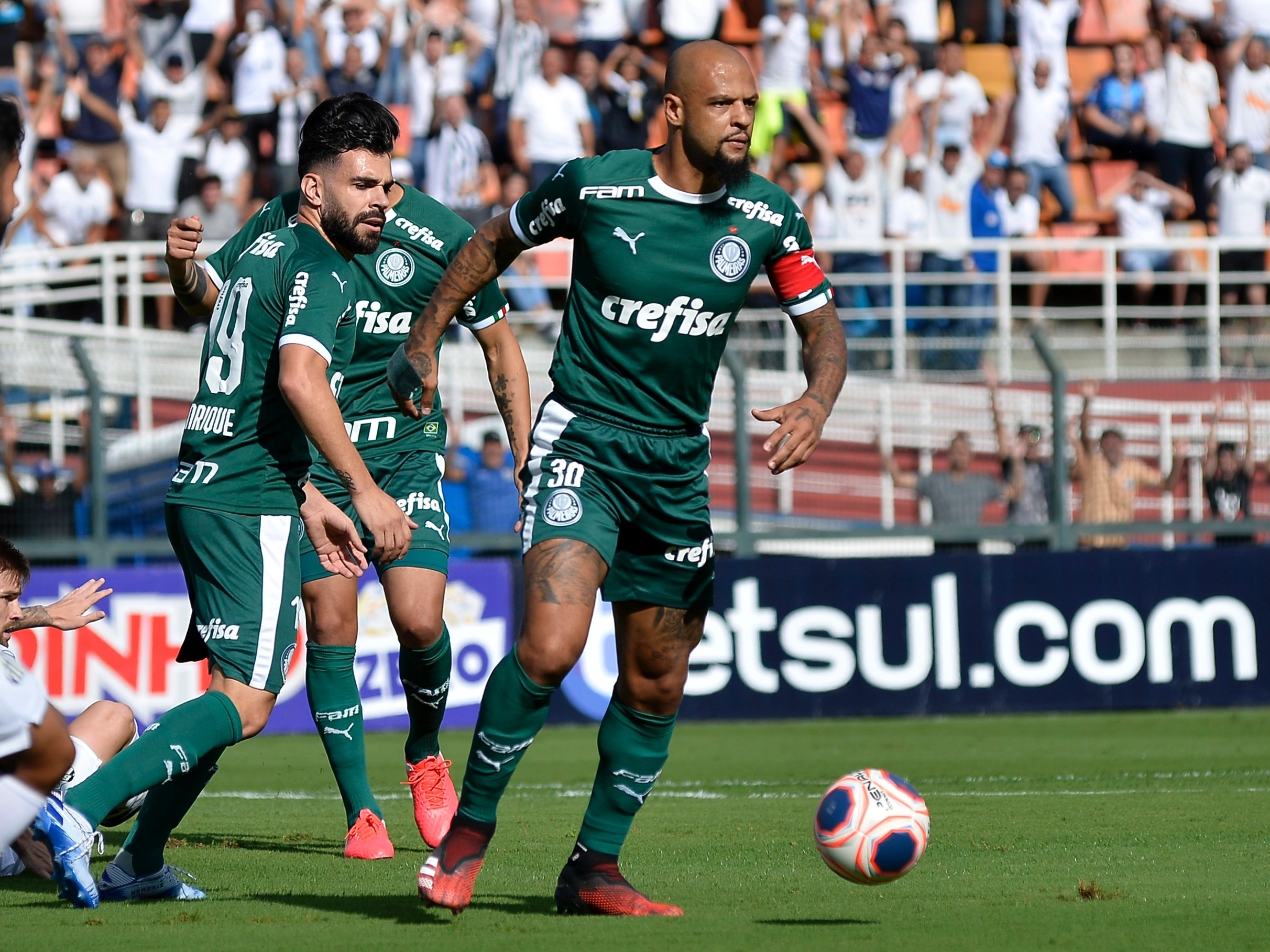 palmeiras – TrollaBola