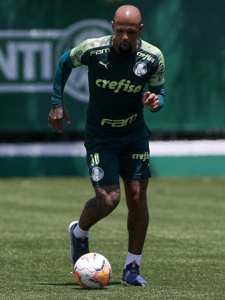 Felipe Melo, volante do Palmeiras - Cesar Greco