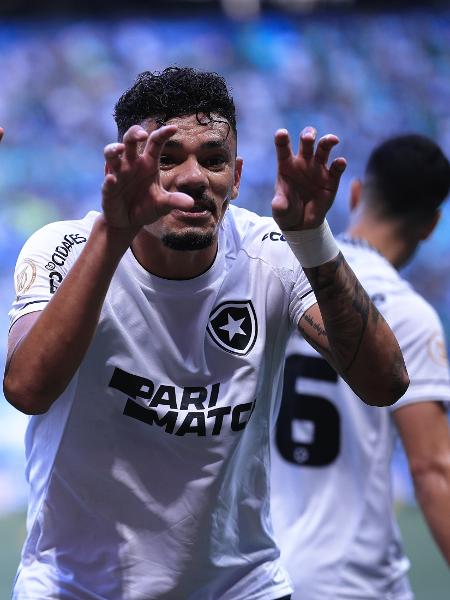 Tiquinho Soares, do Botafogo, comemora gol contra o Palmeiras pelo Brasileirão -  Ettore Chiereguini/AGIF