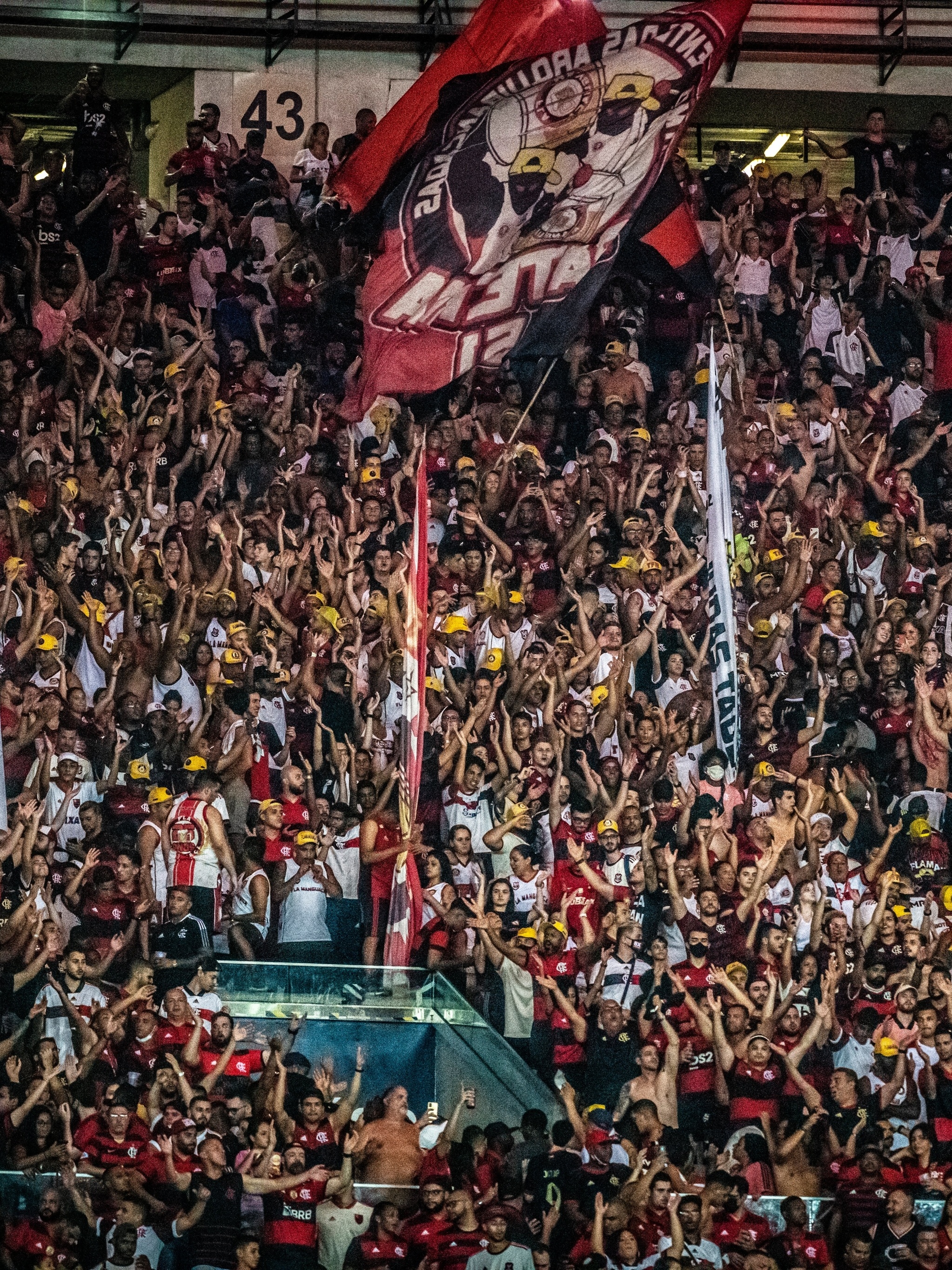 flamengo lomotif