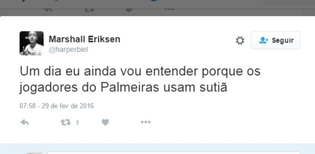 Sutiã do Palmeiras - Reprodução - Reprodução