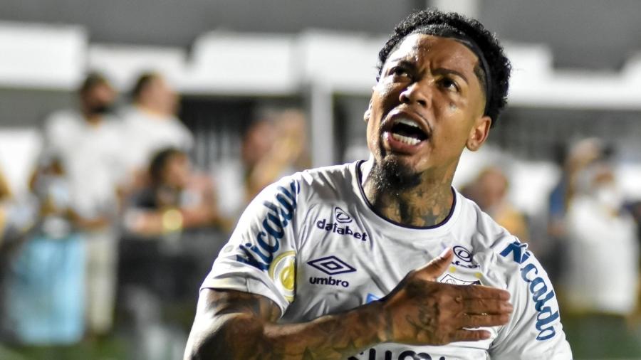 Marinho comemora gol pelo Santos contra a Chapecoense, na Vila Belmiro - Jota Erre/Photo Premium/Gazeta Press