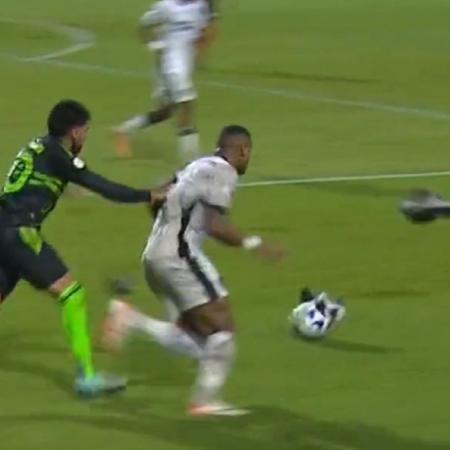 Junior Santos acerta bola em quero-quero durante Botafogo x Coritiba no Campeonato Brasileiro - Reprodução