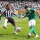 Mundo apresentado ao futebol do Brasil: Palmeiras vence um covarde Botafogo