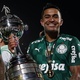 Com a taça da Libertadores, Palmeiras levará caminhão interativo para Novo Horizonte