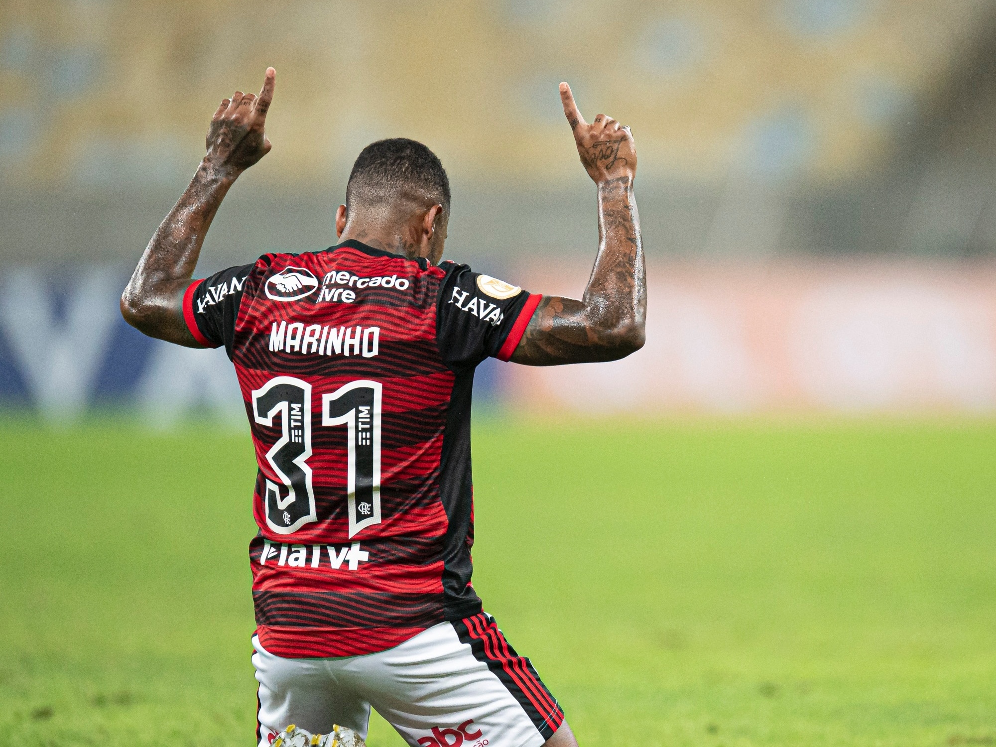 Quantos gols Marinho fez pelo Flamengo?