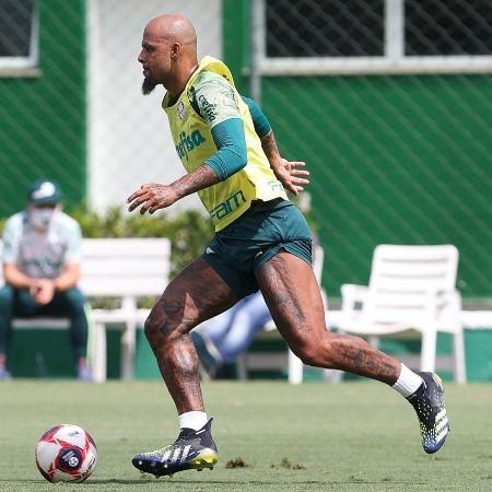 Felipe Melo, jogador do Palmeiras, durante treino nesta quinta na Academia de Futebol - Cesar Greco