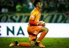Corinthians acerta renovação com possível substituto de Carlos Miguel