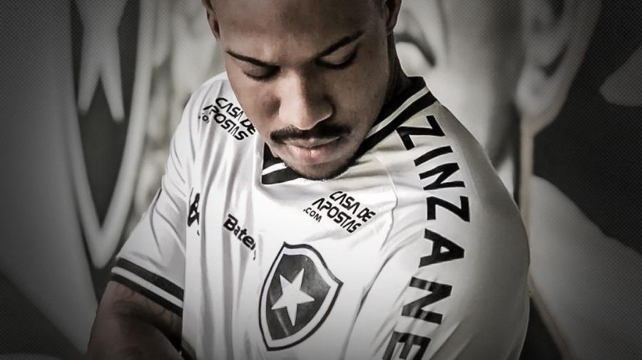 Botafogo anuncia Zinzane como nova patrocinadora - Divulgação