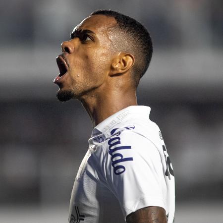 Lucas Pires celebra gol marcado de Lucas Barbosa em Santos x São Bento - Abner Dourado/AGIF