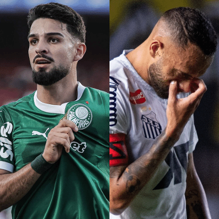O Palmeiras chegou a 60,6% de chance de título no Brasileirão