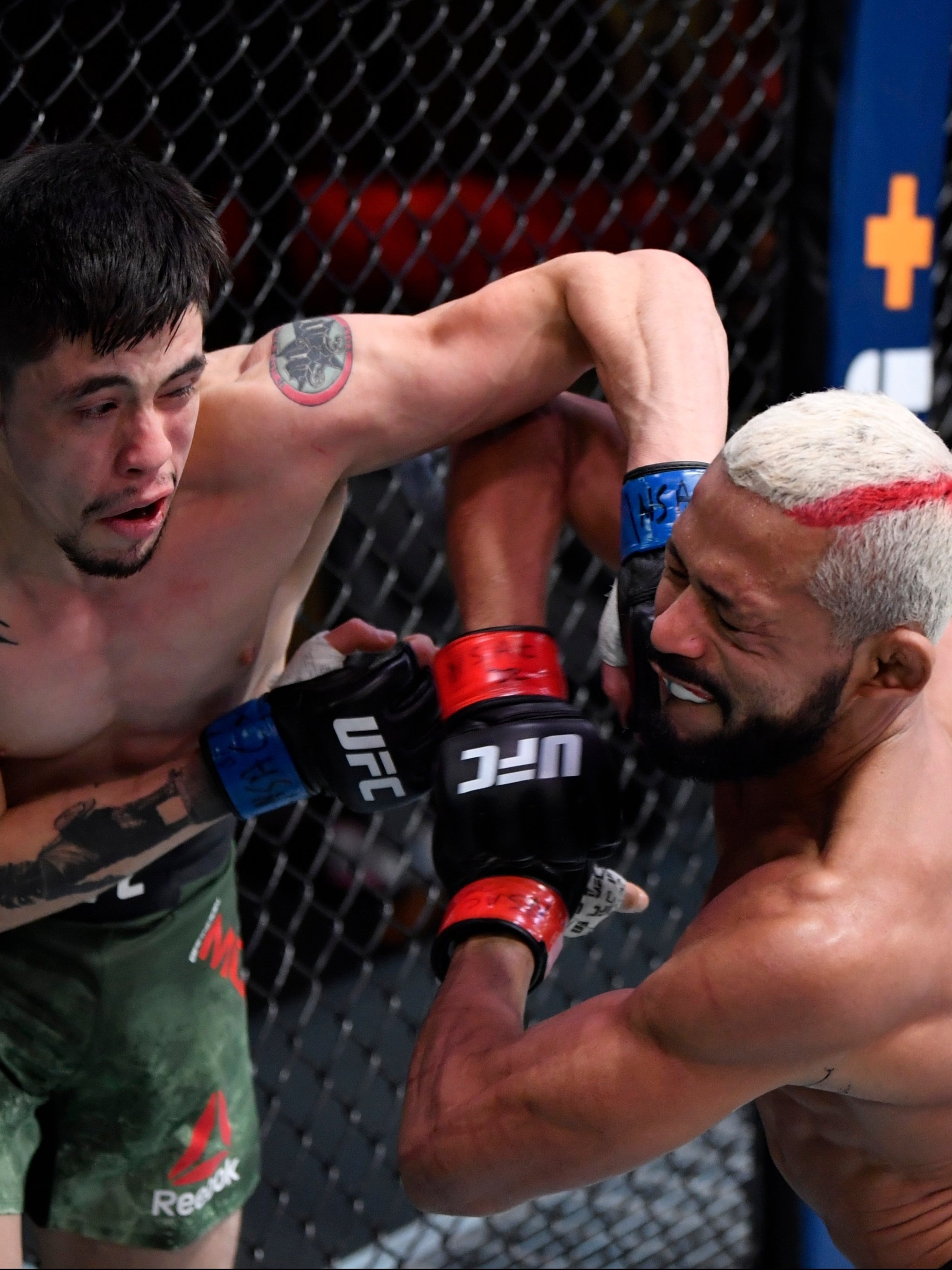 ufc 256 ao vivo grátis