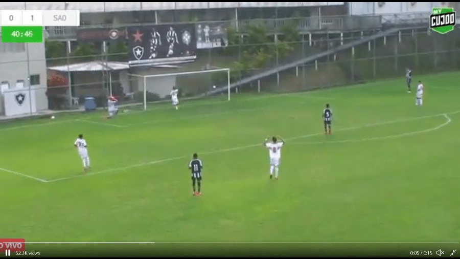 Goleiro do Botafogo lamenta lance do gol contra - Reprodução