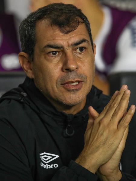 Fábio Carille, técnico do Santos, durante jogo contra a Chapecoense, pela Série B - Reinaldo Campos/AGIF