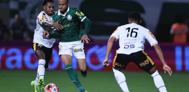 Apontamentos de Erros do Palmeiras na Derrota contra o Novorizontino