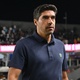 O Palmeiras ainda est&aacute; viv&iacute;ssimo na briga pelo Brasileir&atilde;o