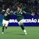 Palmeiras cita campo sintético e provoca o São Paulo: 'Segue tudo igual'