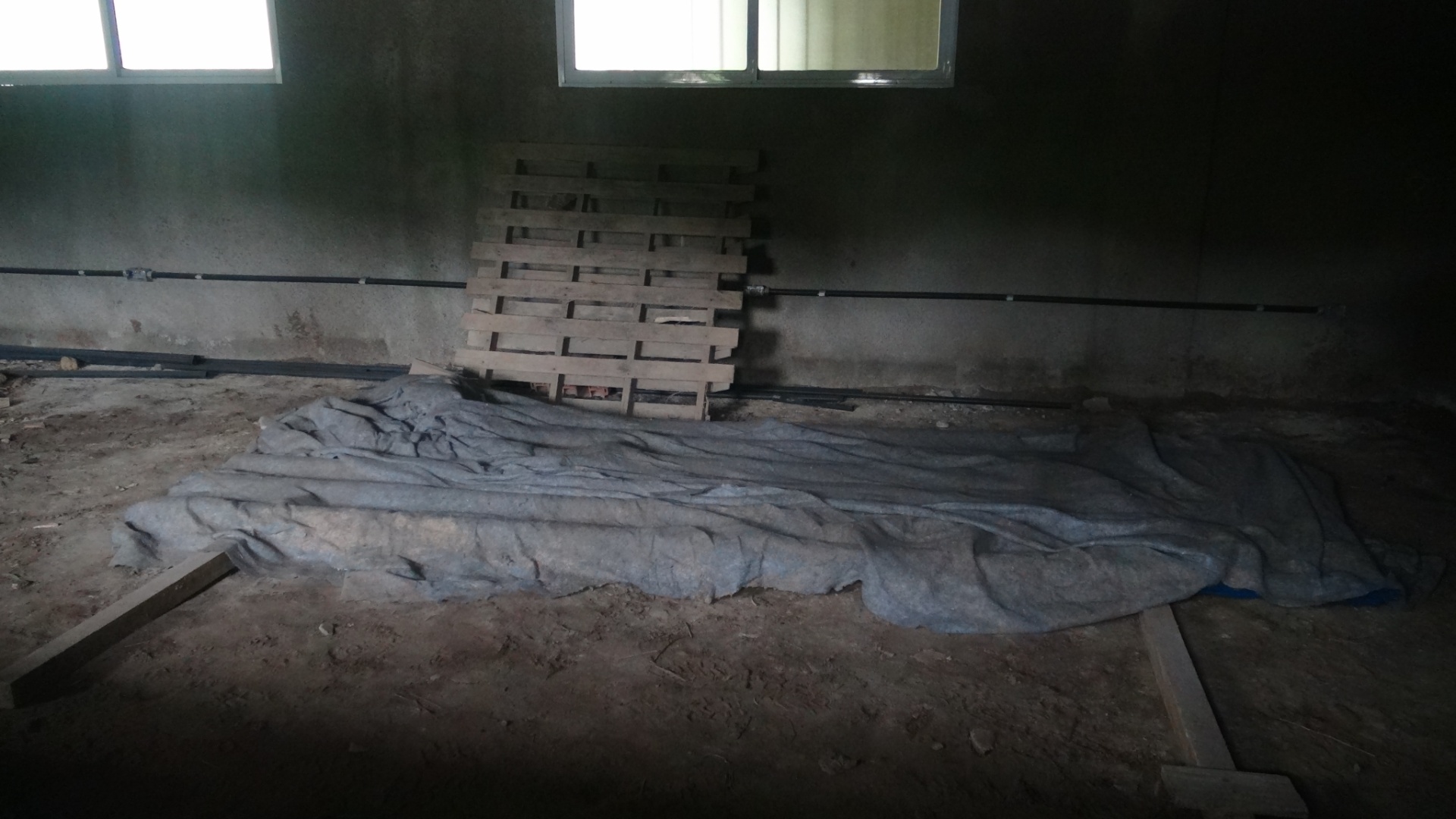 Área de acesso às bilheterias do Estádio Municipal do Guarujá, que está impedido de receber partidas oficiais - Samir Carvalho/UOL