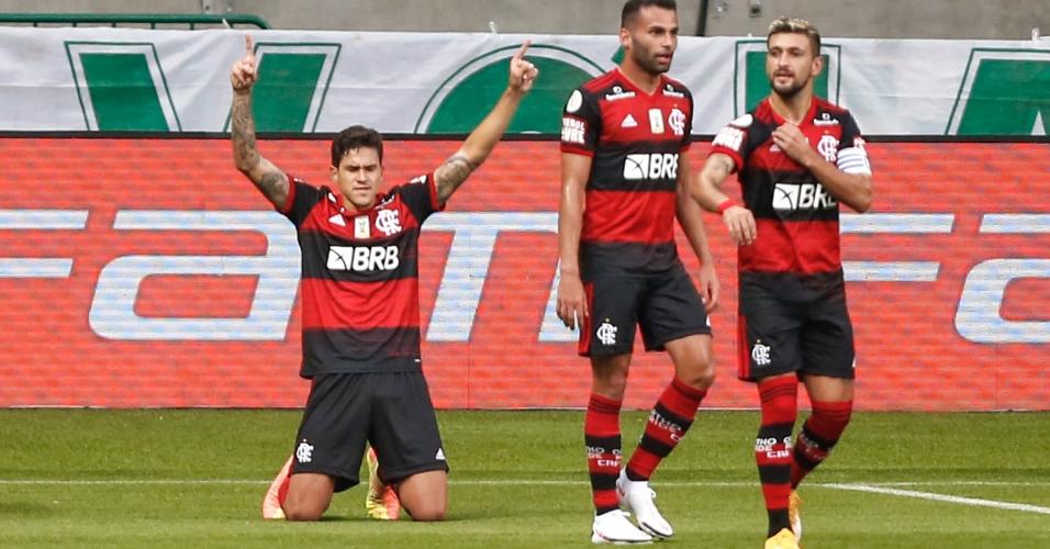 Pedro comemora gol de empate do Flamengo contra o Palmeiras