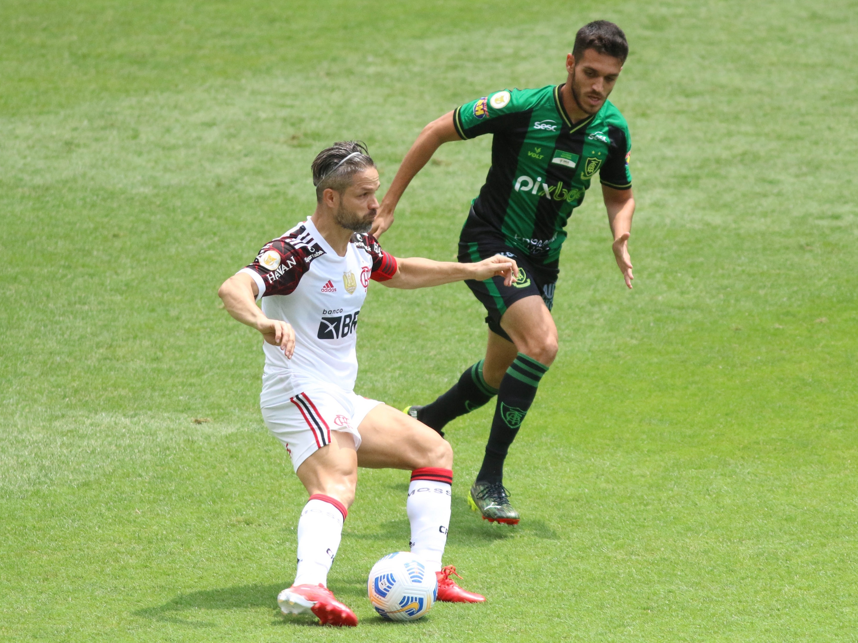 Flamengo divulga relacionados para jogo contra América-MG, pelo Brasileirão  - Coluna do Fla