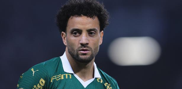 Palmeiras inicia nova fase com desafios, contratações e determinação