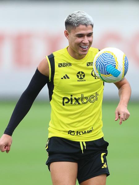 Luiz Araújo durante treino do Flamengo