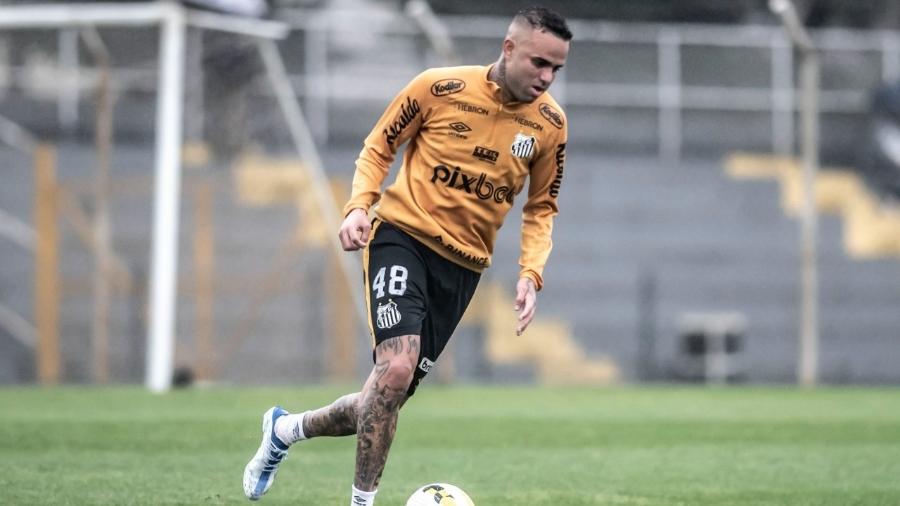 Luan, reforço do Santos - Reprodução/Twitter/SantosFC