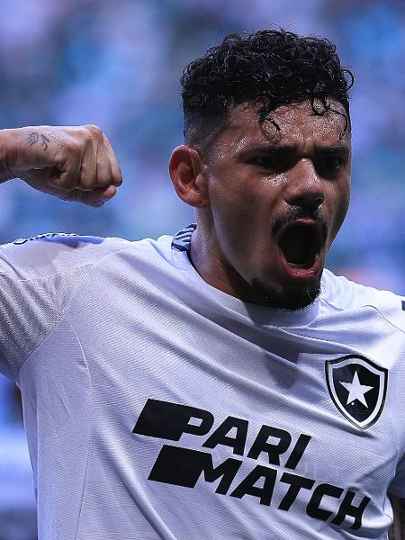 Tiquinho Soares, do Botafogo, comemora gol contra o Palmeiras pelo Brasileirão - Ettore Chiereguini/AGIF