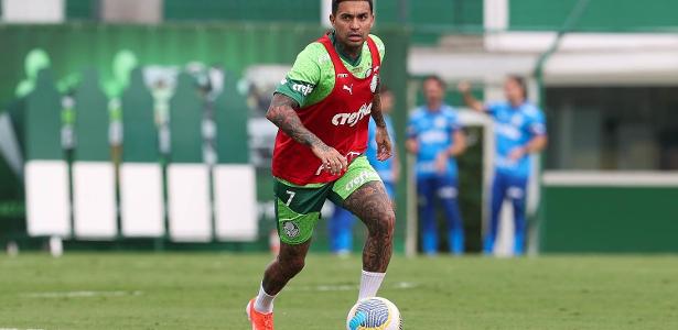 Abel amplia leque de opções no ataque com retorno de Bruno Rodrigues e Dudu