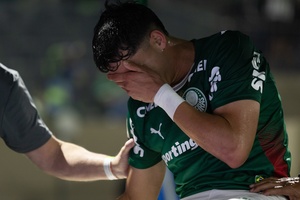 Palmeiras perde Sosa e Felipe Anderson por lesão e acende alerta para a Copa