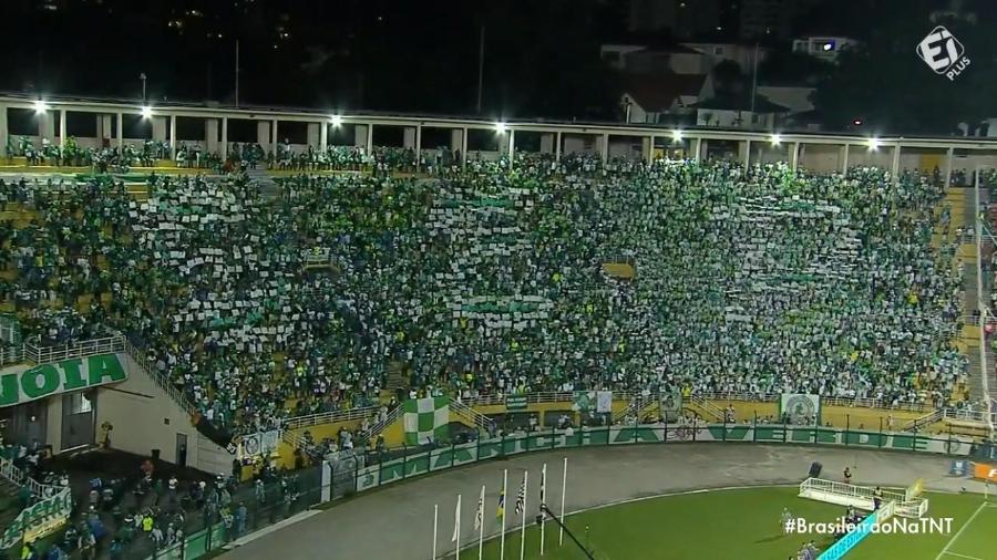 Torcida do Palmeiras faz mosaico ilegível em clássico contra o Santos no Pacaembu - Reprodução