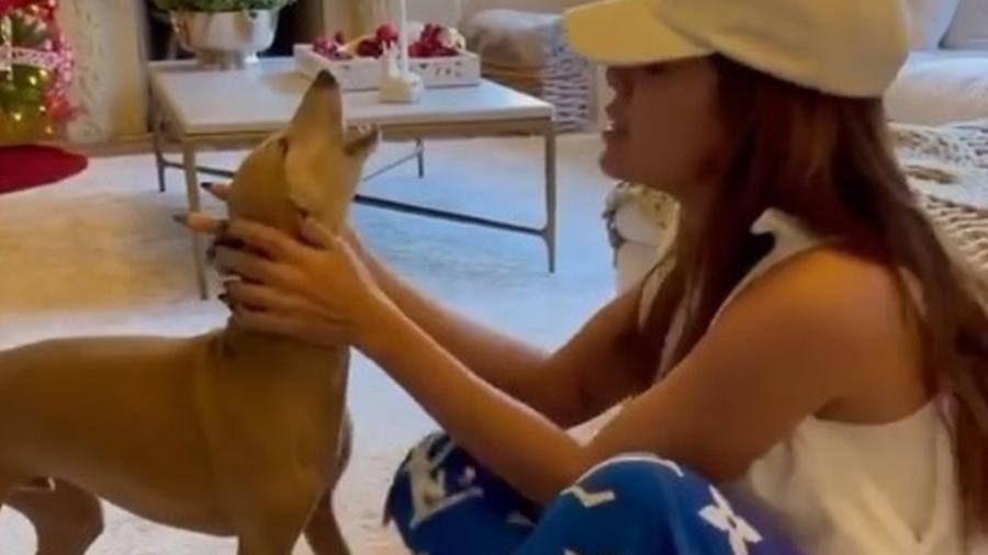 Encontro entre Anitta e o cachorro Plínio Boss viralizou entre os torcedores do Atlético-MG - Reprodução