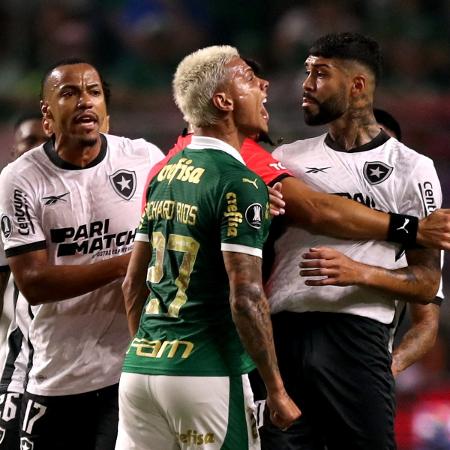 Jogadores de Palmeiras e Botafogo discutem durante jogo pela Libertadores