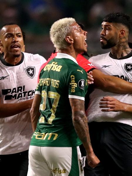 Botafogo lidera o Brasileiro de forma isola, mas Palmeiras está em segundo no páreo