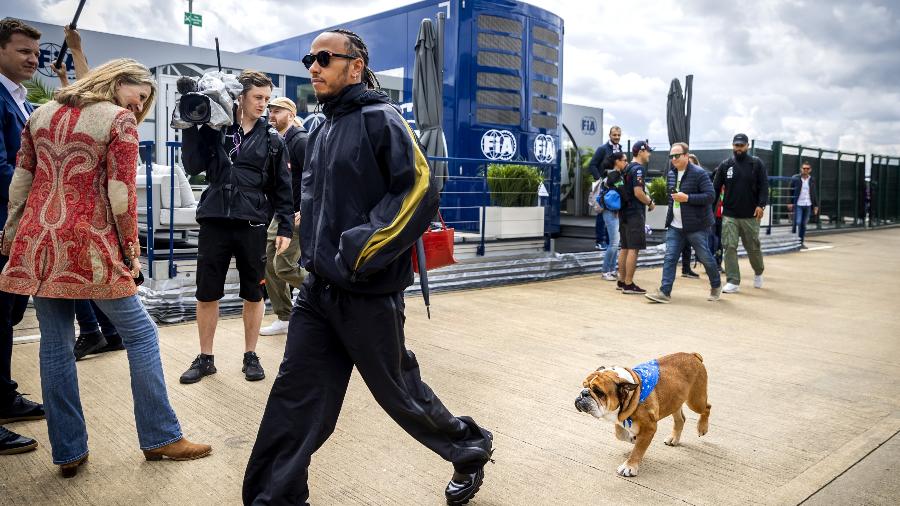 Lewis Hamilton chegando para o TL1 de Silverstone com Roscoe, seu bulldog de estimação - Remko de Wall/Getty