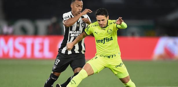 Palmeiras: autorização concedida à Mancha Alviverde para acompanhar jogo da Libertadores