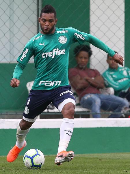 Miguel Borja, atacante do Palmeiras - Cesar Greco/SE Palmeiras