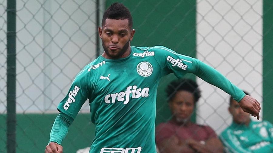 Miguel Borja, atacante do Palmeiras - Cesar Greco/SE Palmeiras