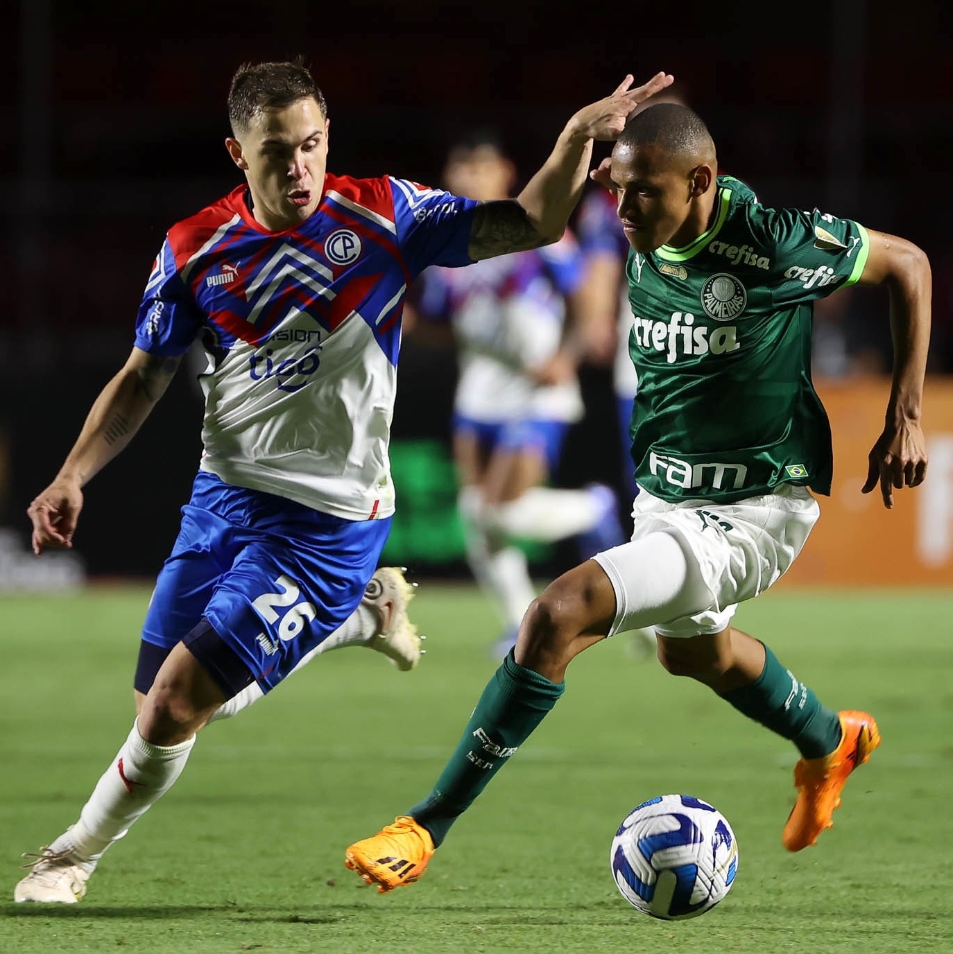 Final de jogo Palmeiras 2 x 1 Cerro Porteño ⚽️⚽️🔥🔥🐷🟢⚪️ @palmeiras  @libertadores #avantipalestra Parceria : @cornetaevibra