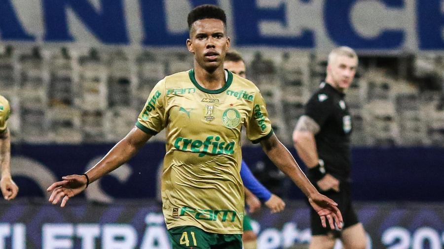 Estêvão comemora gol marcado pelo Palmeiras contra o Cruzeiro no Brasileirão