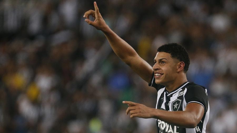 Luis Henrique, do Botafogo, celebra gol - Vitor Silva / Botafogo