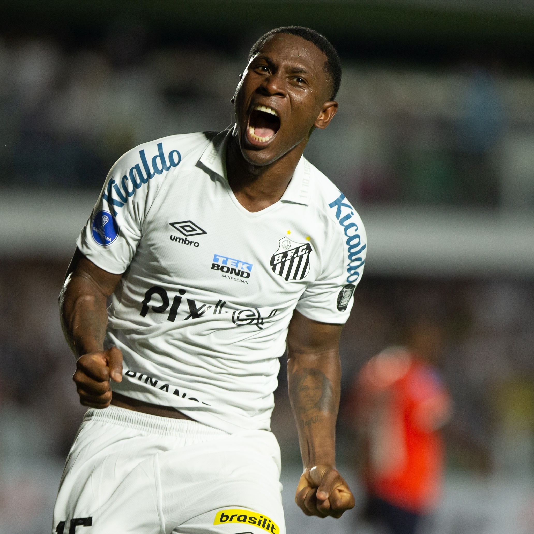 Bryan Angulo chega para ser titular no Santos? Opine! - Gazeta Esportiva