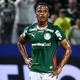 Palmeiras: precisa 'escalar montanha'? Lavieri analisa Arias no banco