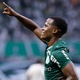 Palmeiras vai com for&ccedil;a m&aacute;xima contra o Fluminense; veja escala&ccedil;&otilde;es