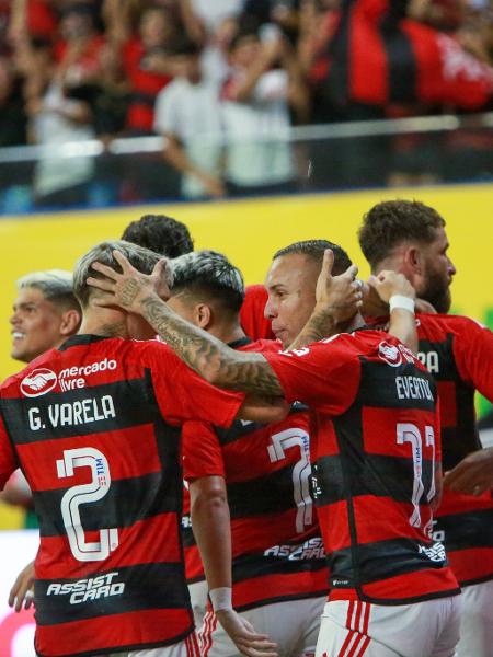 Jogadores do Flamengo comemoram gol contra o Audax