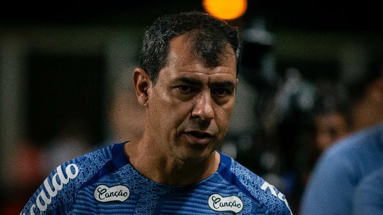 Fábio Carille, técnico do Santos, durante jogo contra o América-MG