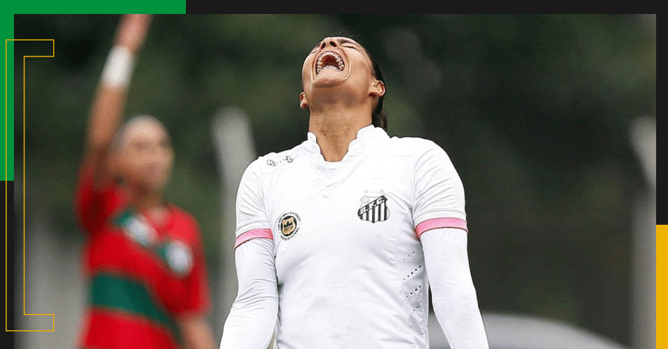 PEDRO ERNESTO GUERRA AZEVEDO/Santos